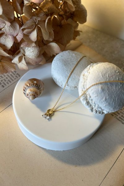ImgCaroussel (1)